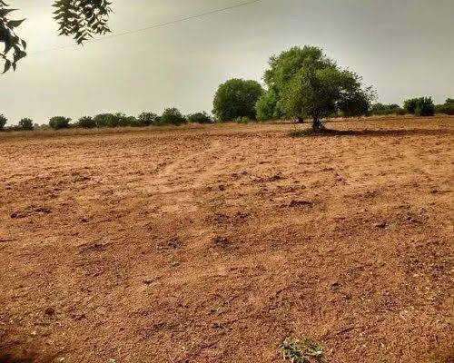 Properties for Sale in Kharkhoda, Sonipat – Investment Plots by Kova Infra